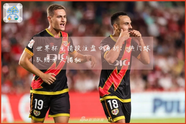 世界杯竞猜投注盘口分析：热门球队赔率大揭秘