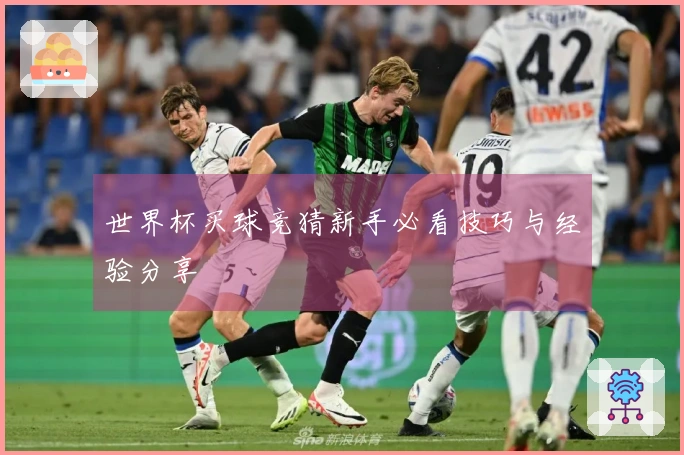 世界杯买球竞猜新手必看技巧与经验分享