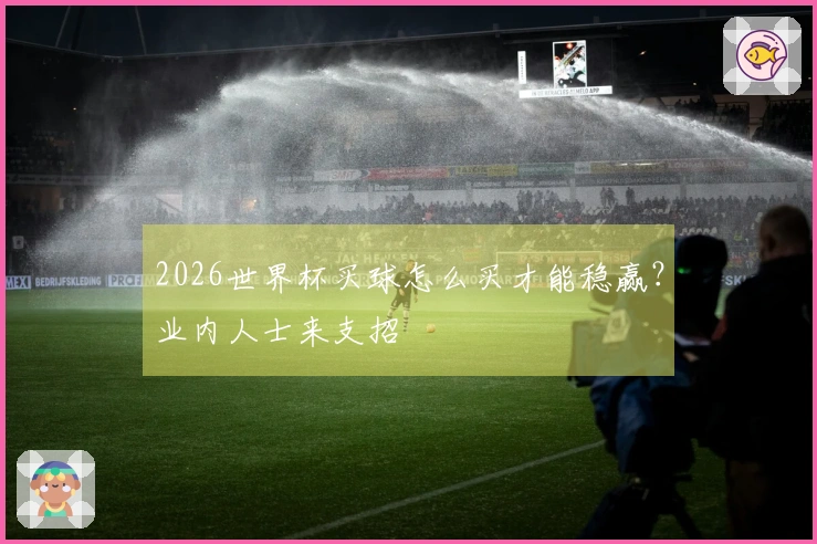 2026世界杯买球怎么买才能稳赢？业内人士来支招