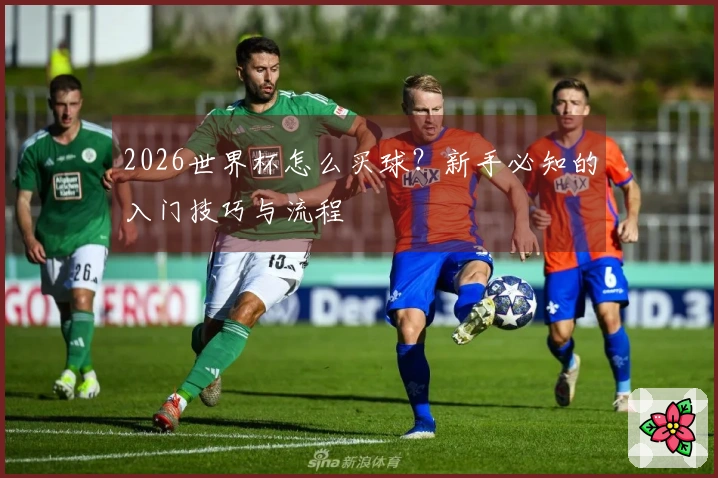 2026世界杯怎么买球？新手必知的入门技巧与流程