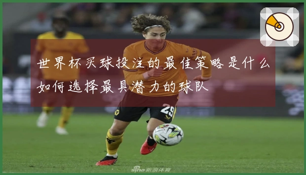 世界杯买球投注的最佳策略是什么如何选择最具潜力的球队