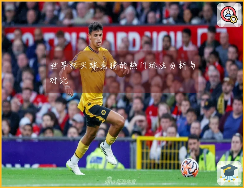 世界杯买球竞猜的热门玩法分析与对比