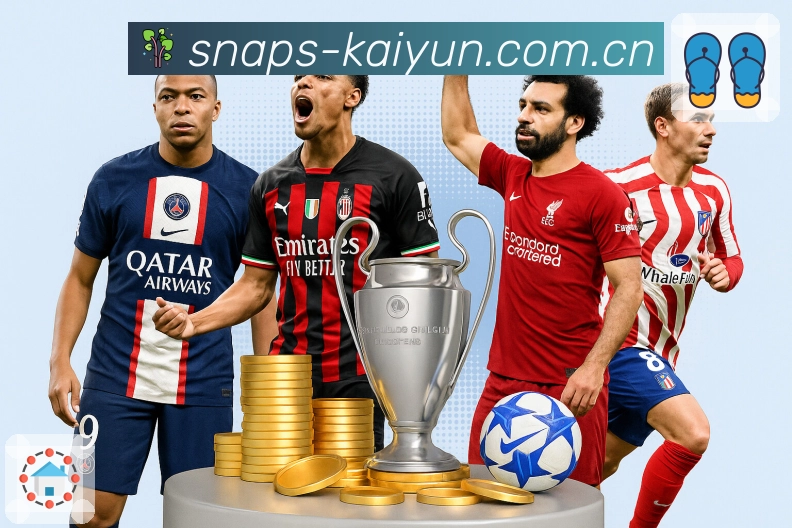 开云APP 高清赛事图